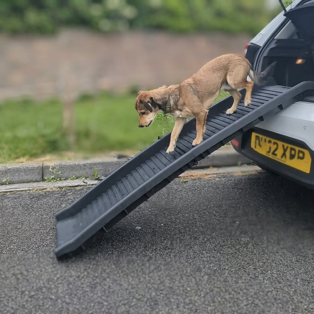 1510mm Folding Dog Ramp 75kg Capacity