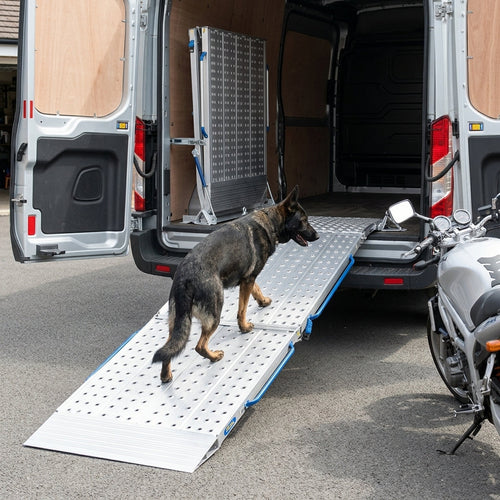 1100mm Wide Heavy Duty 2 Part Folding Van Ramp
