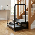 200mm Double Half Step with Handrail